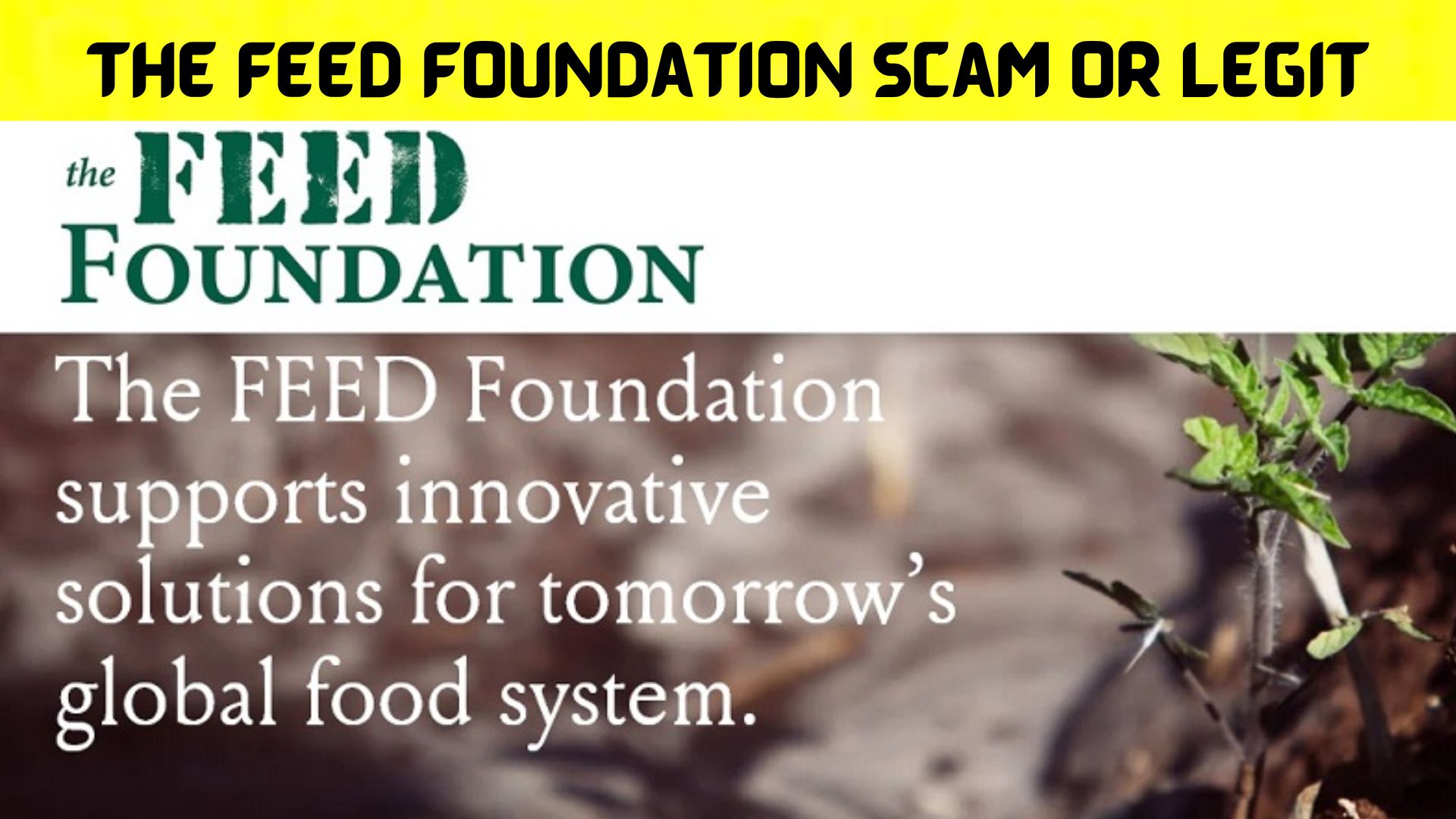 The Feed Foundation Scam or Legit